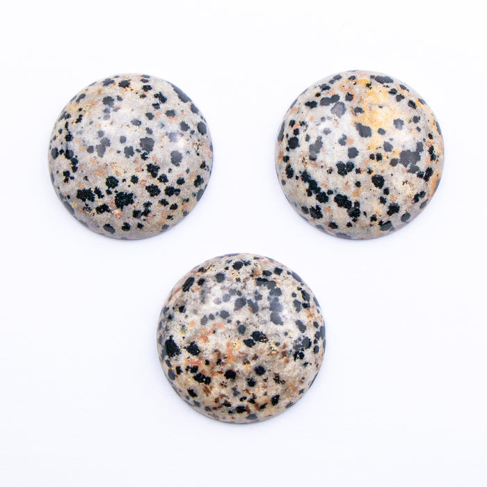 30mm Dalmatian Jasper Circle Cabochon